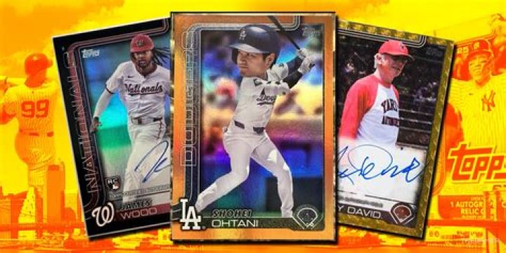 Drake's Baseball Card Collection: A Collector's Dream