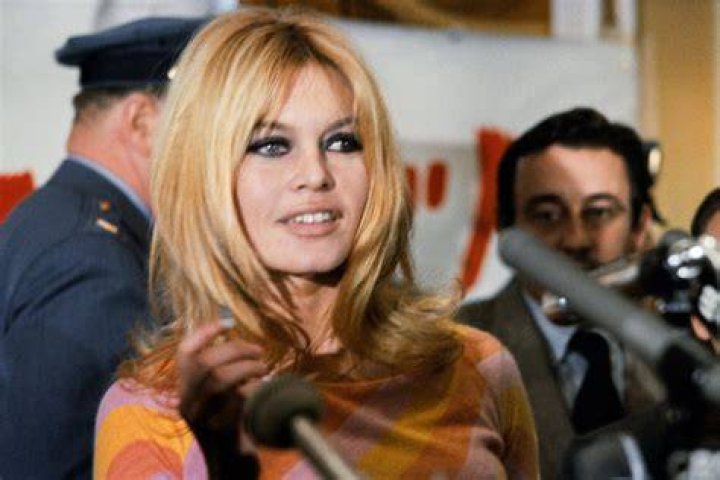 Nicolas Charrier Bardot: A Multifaceted Talent In The Creative World