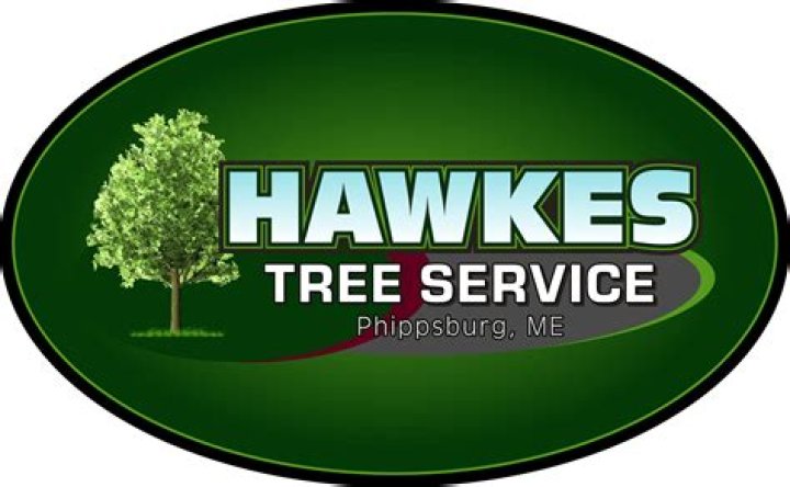 Pasco's Premier Tree Service: Reliable And Affordable