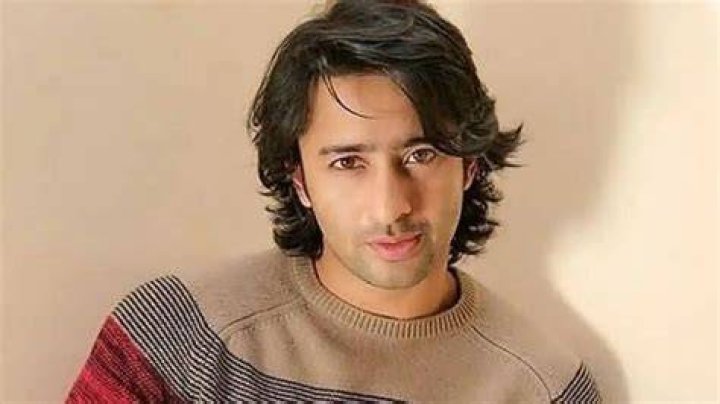 Shaheer Sheikh Net Worth, Age, Height, Bio, Birthday, Wiki!