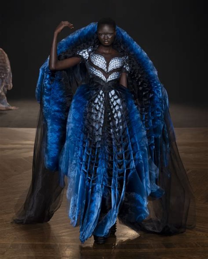 The Enchanting Legacy Of Beyonc: Exploring Iris Van Herpen's Masterpiece