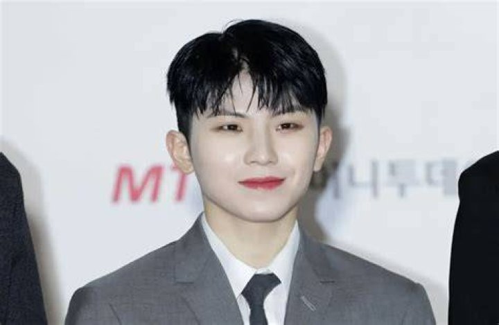 WOOZI Net Worth, Age, Height, Bio, Birthday, Wiki!
